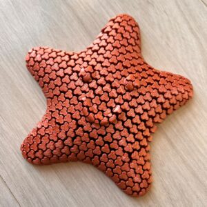 Estrela-do-Mar Sensorial Articulada 13cm – Mexa, Dobre e Relaxe com um Fidget Criativo e Divertido